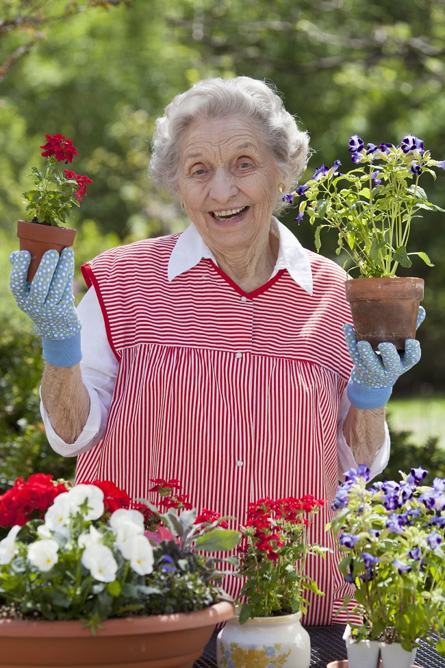 Memory Care & Activities Seniors