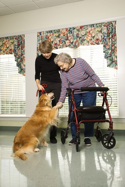 Man's Best Friend: Pet Therapy and Dementia